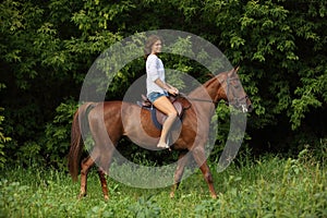 Sensual young beauty country girl ride horseback