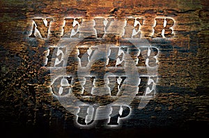 Sentence Never ever give up written on nature wooden background.