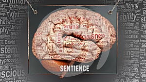 Sentience in human brain
