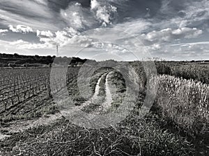 Sentieri black and white