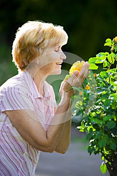 Sentimentality. Mature Old Lady Smelling Yellow Flower