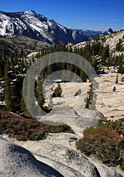 Sentinel Dome photo