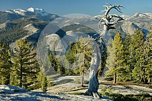 Sentinel Dome Evening, Yosemite