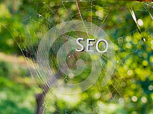 SEO 3d text on Spider web, Search engine optimization, internet
