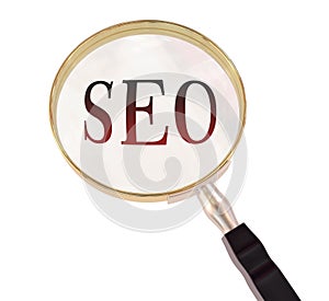 Seo magnify