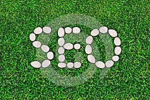 SEO, search engine optimization. Website traffic promotion. Internet technologies. The word laid out on the lawn