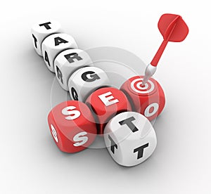 Seo Target Crossword