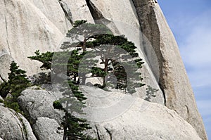 Seoraksan National Park,South Korea