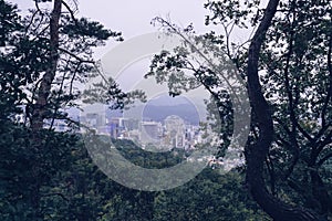 Seoul cityscape through Namsan park trees