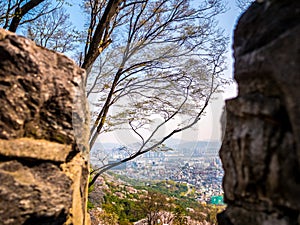 Seoul South Korea, cityscape background between rocks with a tree blue sky.