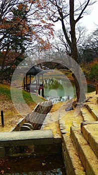 Seoul South Korea. Secret garden in Changdeokgung Palace. photo