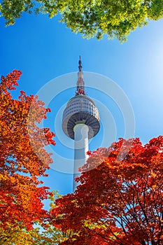 Seoul Tower and red autumn maple leaves at Namsan mountain in Korea.