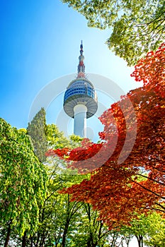 Seoul Tower and red autumn maple leaves at Namsan mountain in Korea.