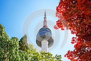 Seoul Tower and red autumn maple leaves at Namsan mountain in Korea.