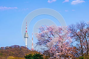 Seoul tower in spring with cherry blossom tree in full bloom, south korea