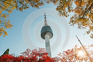 Seoul Tower with yellow and red autumn maple leaves at Namsan mo