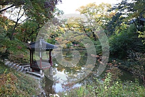 Seoul UNESCO World Heritage Changdeokgung Secret Garden, South Korea