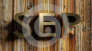 SEP brass write on raw wooden background - 3D rendering