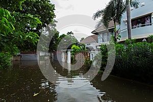 Thailand, Flood, Climate Change, Water, Accidents and Disasters