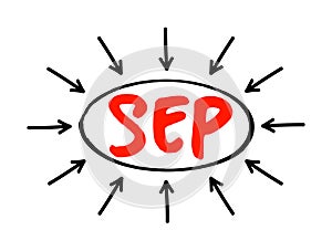 SEP Search Engine Positioning - method of optimizing specific pages of your website with the objective of achieving higher search