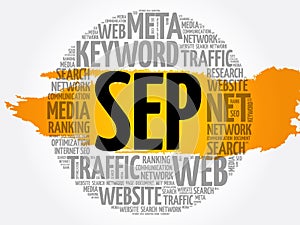 SEP search engine positioning word cloud