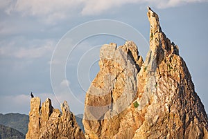 The separate pillar-rock of the Hashigui-iwa bridge at the Kushimoto. Wakayama. Honshu. Japan