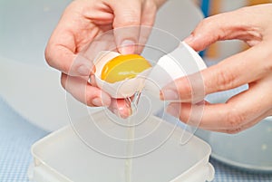 Separating eggs photo