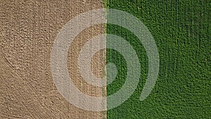 Separation and contrast between a harvested field and a plowed field in rural agricultural farmland,