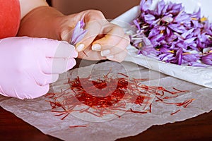 Separation of saffron threads from the rest of the flower