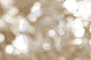 Sepia Abstract bokeh lights backgrouns textures photo