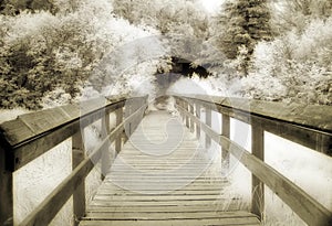 Sepia Bridge