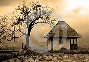 Sepia cottage and tree