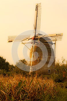 Sepia Dutch Windmill in Autumn Colors