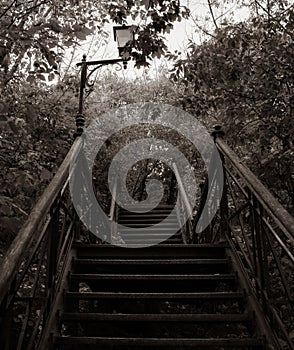 Sepia Elegance: Staircase, Lantern, and Arboreal Symphony