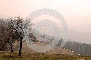 Sepia landscape