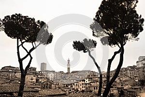 Sepia Siena skyline