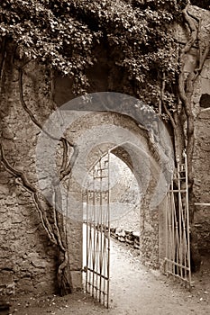 Sepia toned gate