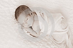 Sepia Toned Newborn Baby Boy Portrait