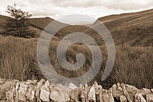 Sepia view of long grass and road with green mountains