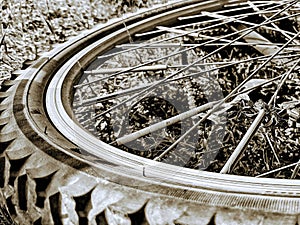 Sepia wheel with crampon tires of a mountain bicycle