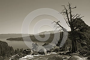 Sepia Wilderness Lake