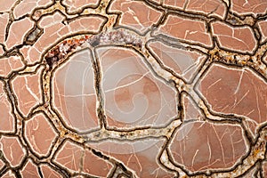 Septaria concretion mineral surface