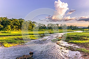 September 04, 2014 - Landscape of Chitwan National Park, Nepal