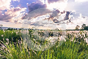 September 04, 2014 - Sky above Chitwan National Park, Nepal