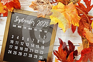 September 2023 monthly calendar with maple leaf on wooden background