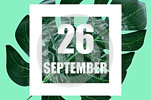 september 26th. Day 26 of month,Date text in white frame against tropical monstera leaf on green background autumn month