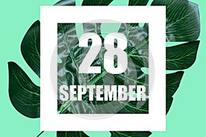 september 28th. Day 28 of month,Date text in white frame against tropical monstera leaf on green background autumn month