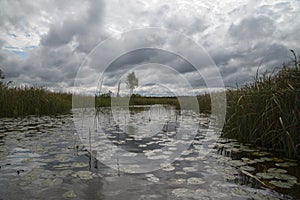 September aftenoon background of forest and White lake, Estonian nature.