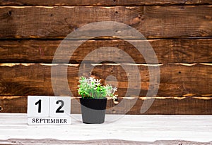 September calendar with number 12. Planner copy space on a wooden brown background. March number icon. Place for text background