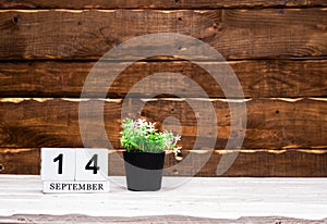 September calendar with number 14. Planner copy space on a wooden brown background. March number icon. Place for text background